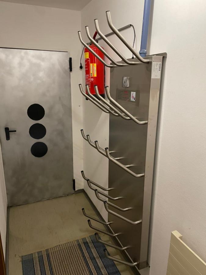 Ferienwohnung Maxi Maishofen Bagian luar foto